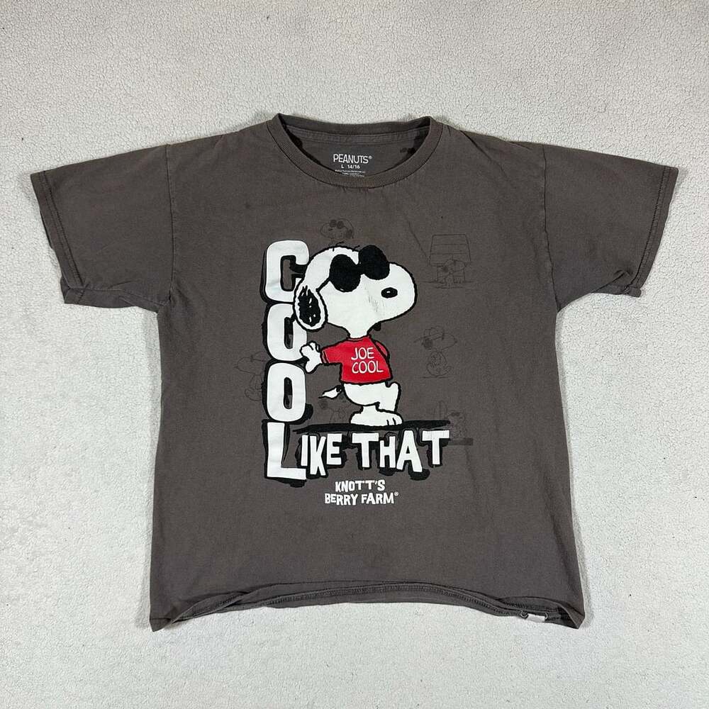 Peanuts Snoopy Joe Cool Knott's Berry Farm Graphic T-Shirt Gray Youth L 14/16